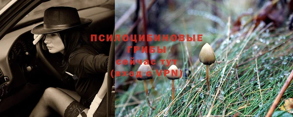 дживик Абдулино