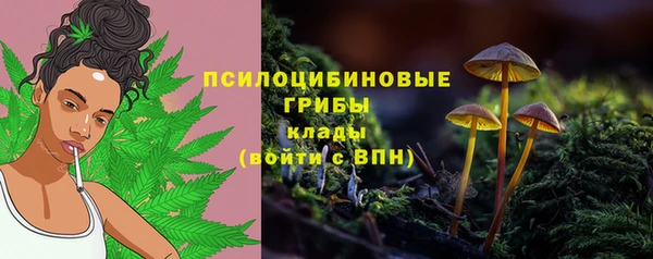 кристаллы Абаза