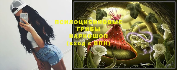 хмурый Покачи